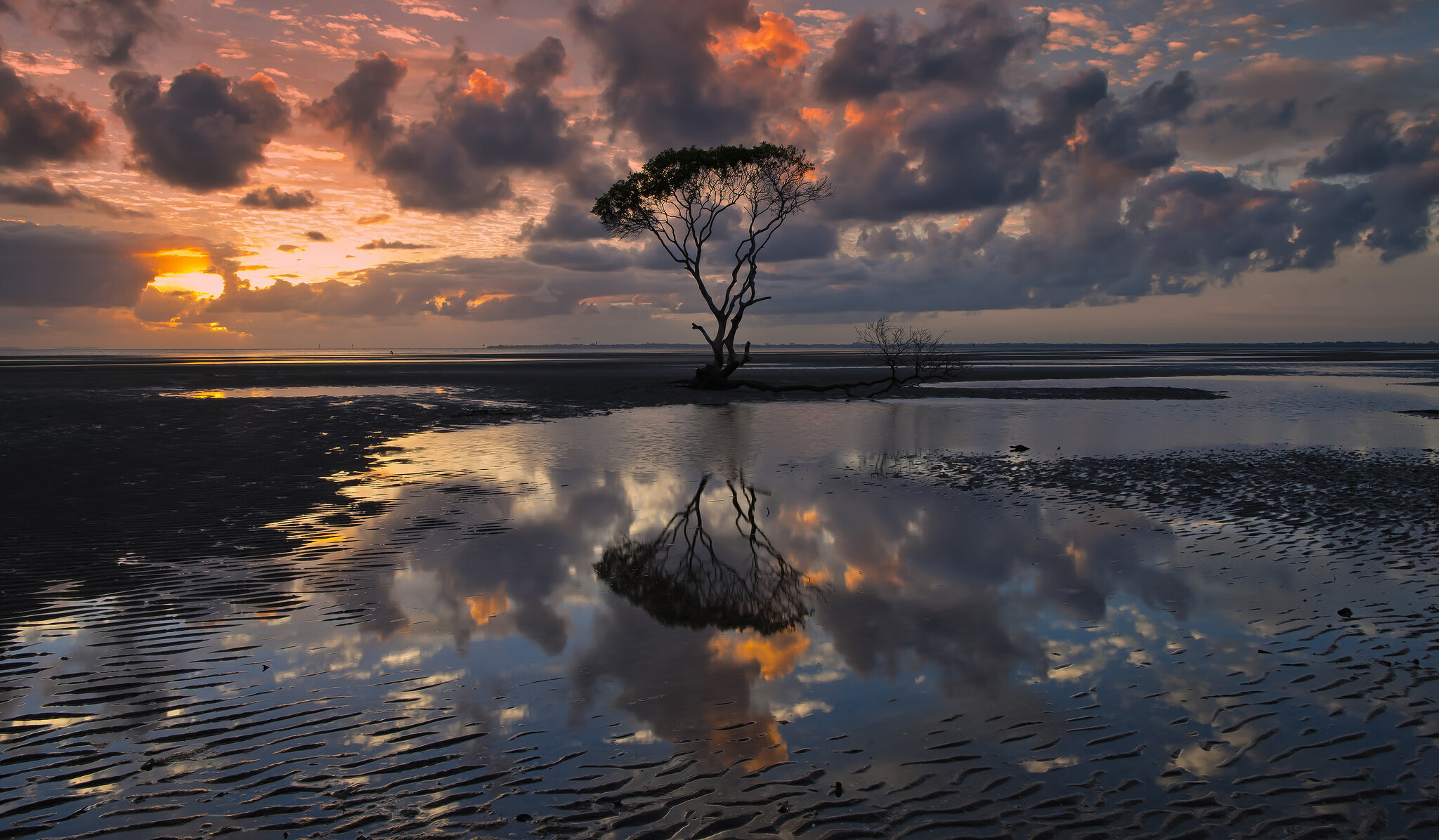 海底探险潜水比赛，领略海底珊瑚礁的奇幻景色，海底潜水视频素材