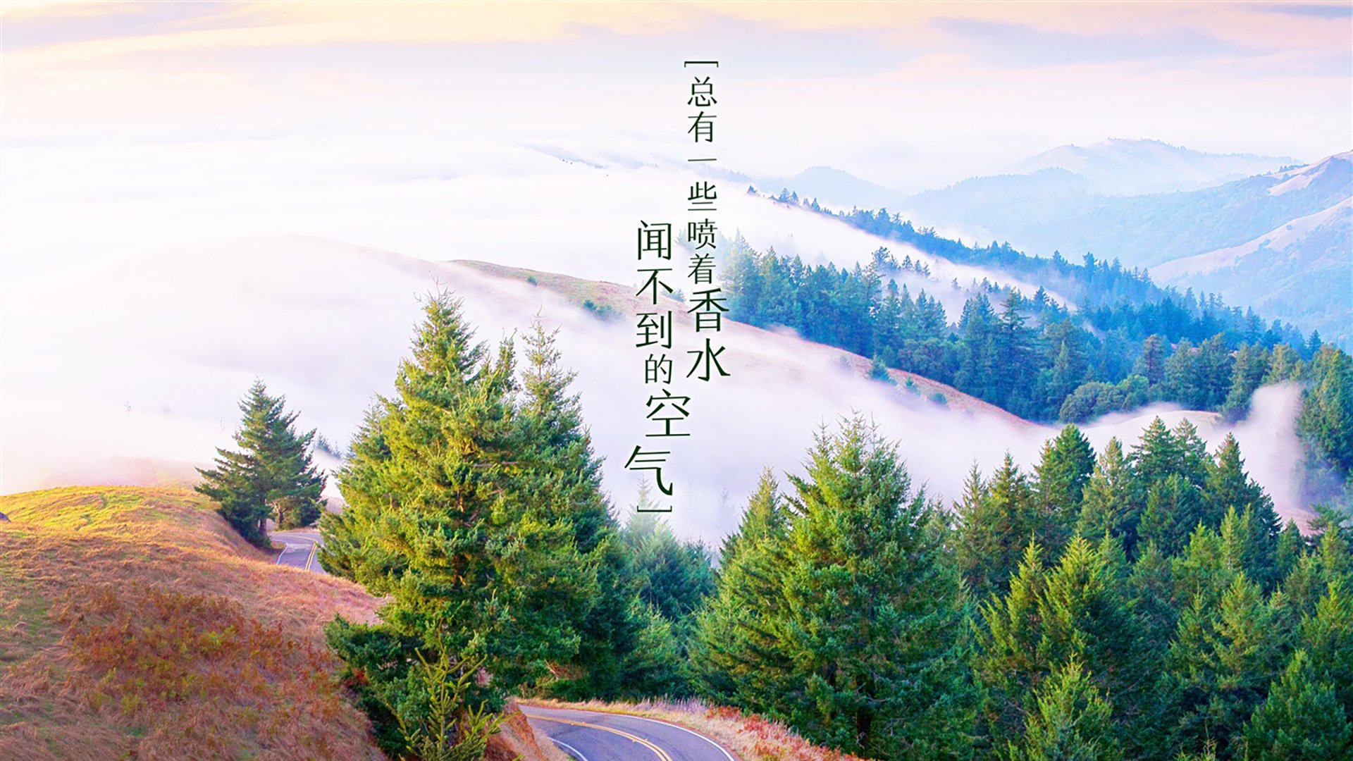 Savinho、Foden加持，曼城显霸主架势，曼城 mci