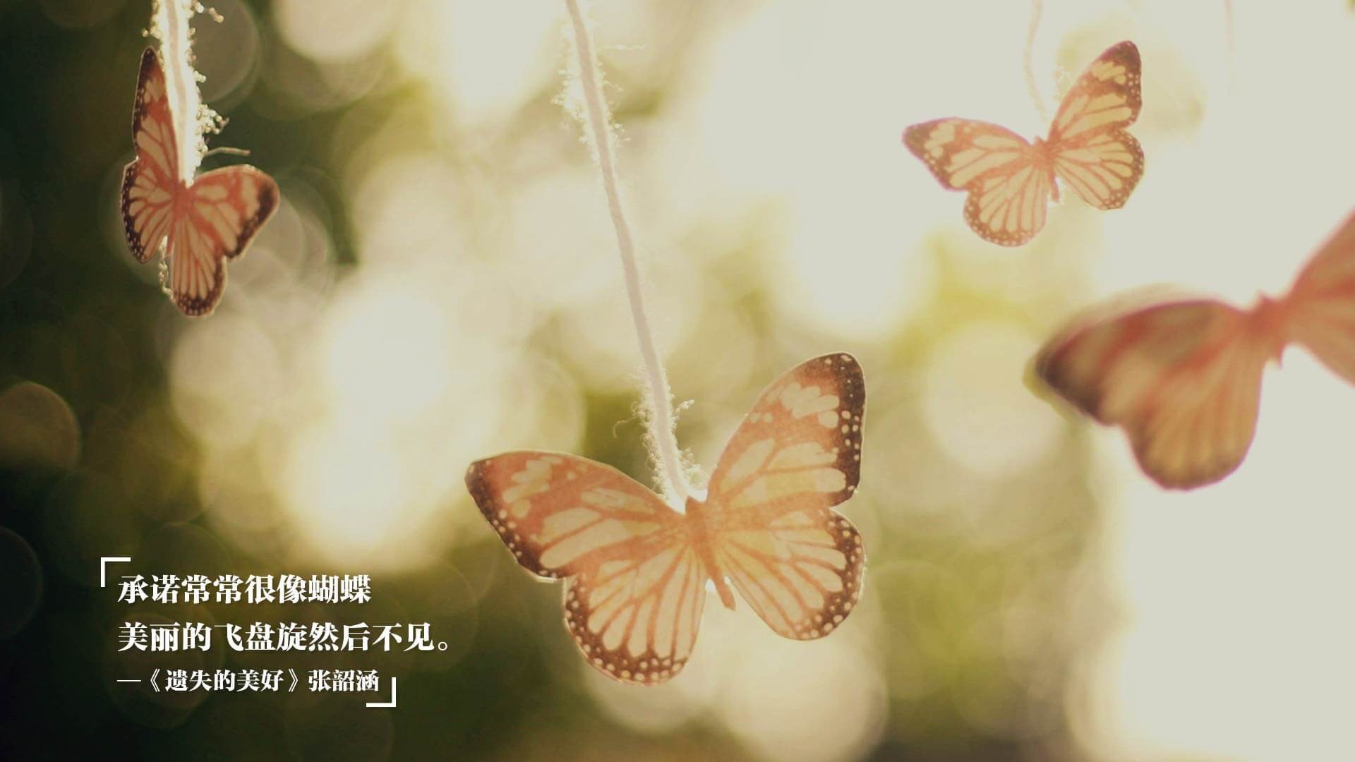 马尔尚决赛表现赢得媒体好评，马尔尚决赛表现赢得媒体好评的句子