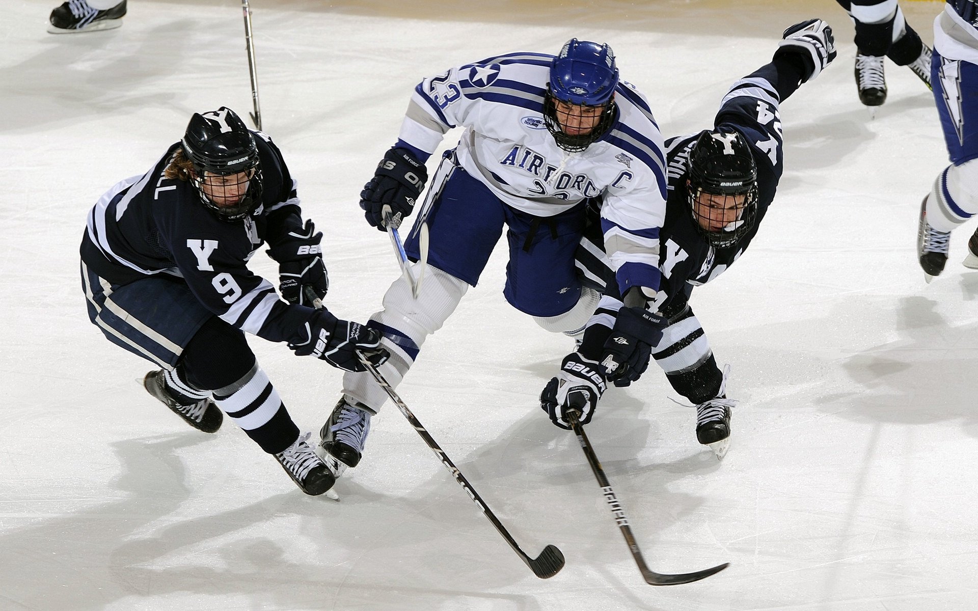 _极夜的极限跑：挑战北极极光的速度极限_，极夜在南极还是北极